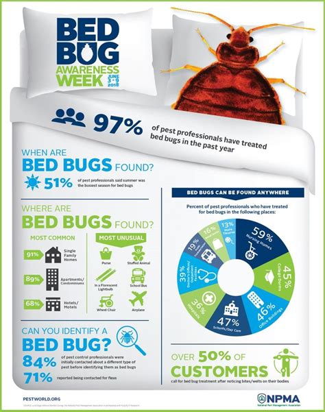 the bed bug is on display in this info sheet, and it's not very big ...