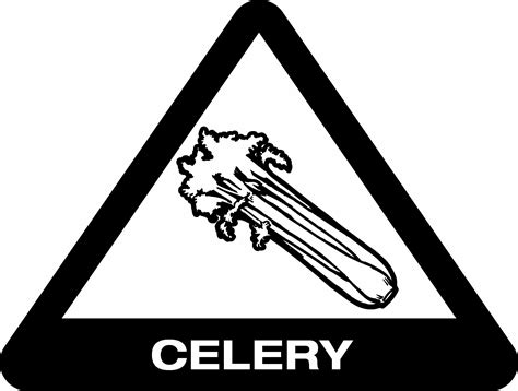 Celery | Celery, Allergies, Food allergens