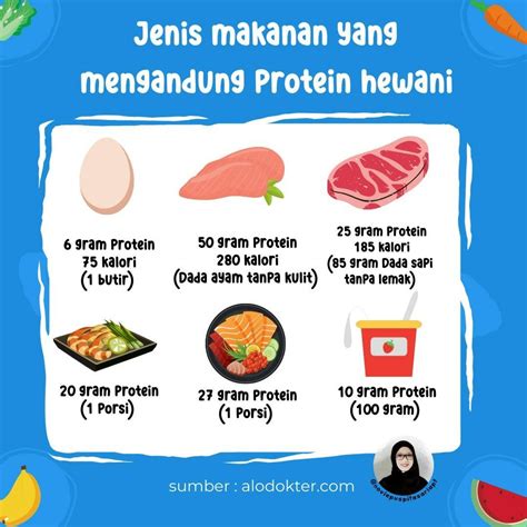 Protein Hewani