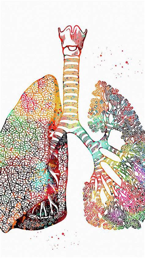 Art Of Lungs In White Background HD Medical Art Wallpapers | HD ...