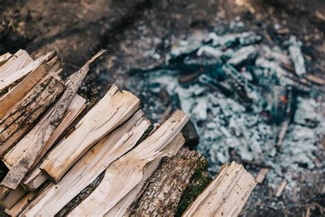 Free Firewood: 8 Places to Find It Near You • Insteading