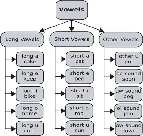 Learn How to Pronounce the 15 Vowel Sounds of American English ...