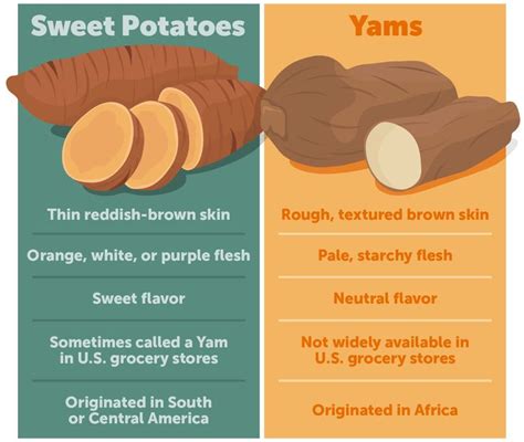 Sweet Potato vs Yam: What's the Difference? | Yams vs sweet potatoes ...