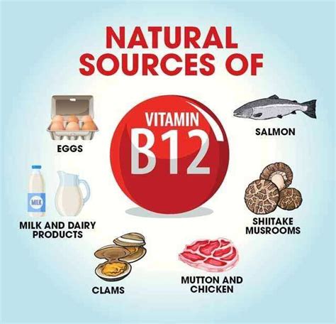 10 Top Vitamin B12 Rich Foods & Their Benefits | Femina.in