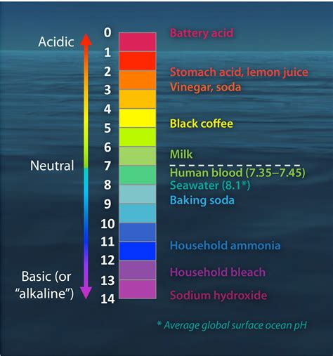 Ph Scale Examples