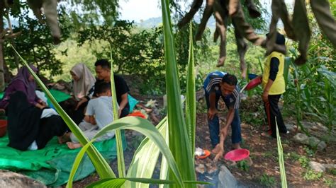 kebun Jagung - YouTube