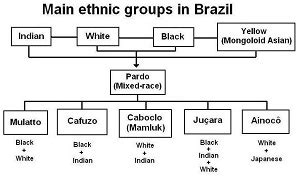 Ethnic Groups in Brazil | Study.com