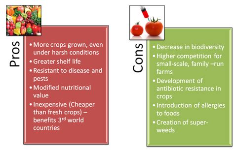 Gmo Environmental Pros And Cons | olympiapublishers.com