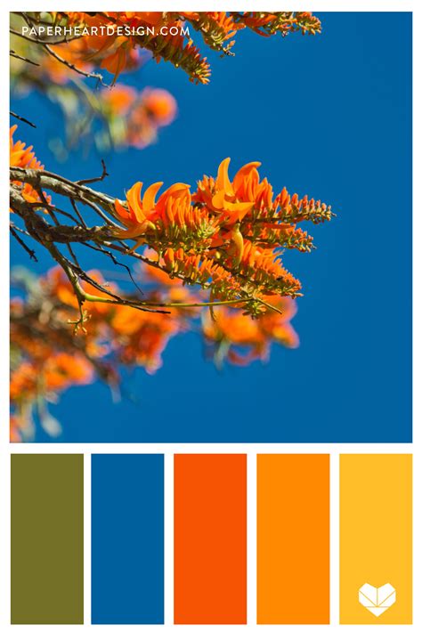 Color Palette: Outstanding Orange — Paper Heart Design