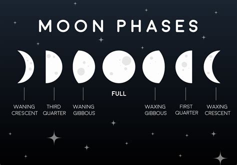 Vector Flat Moon Phases Icons - Download Free Vector Art, Stock ...