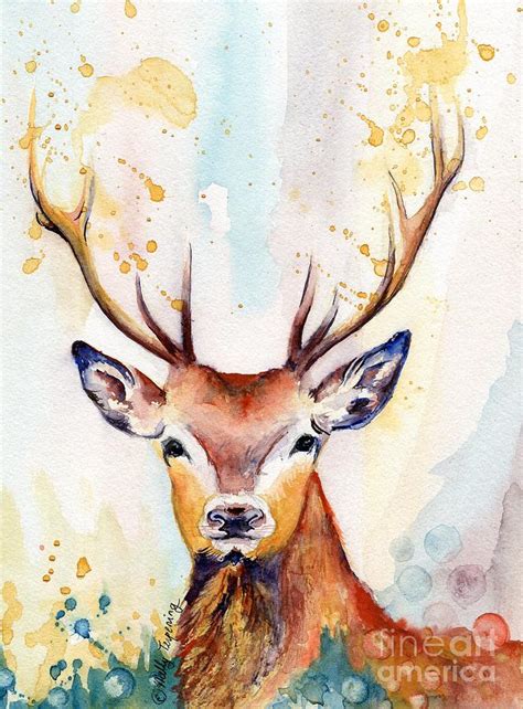 Red Deer Watercolor Painting by Melly Terpening - Fine Art America