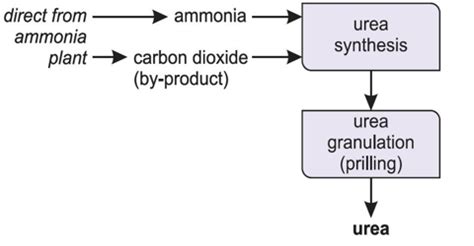 Production of Urea - QS Study