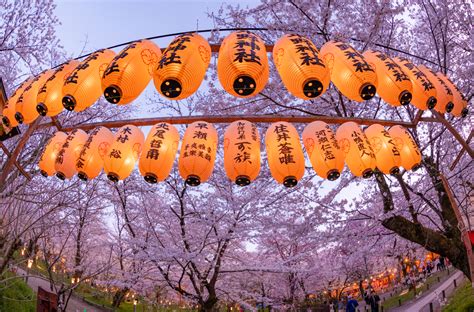 2022 Kyoto Cherry Blossom Guide & Sakura Season Viewing Tips - Travel ...