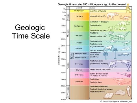 Image result for evolution of mammals timeline | Evolution, Geologic ...