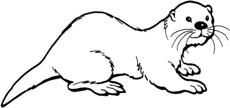 River Otter Drawing at GetDrawings | Free download