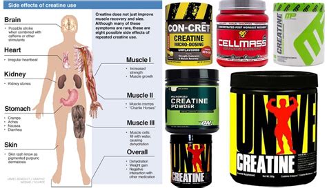 Creatine Supplement – Monohydrate Side Effects, Benefits & More ...