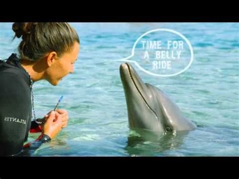 Swim with the dolphins of Atlantis, Dubai, for memories that last ...