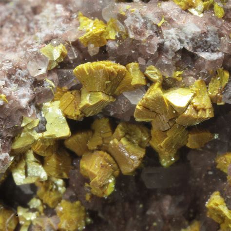 Carnotite | Mashamba West Mine, Kolwezi District, Katanga Copper ...