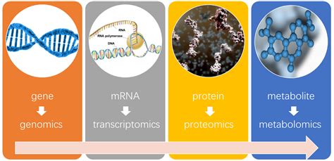 ?What is Metabolomics | gutmicrobiotaforhealth