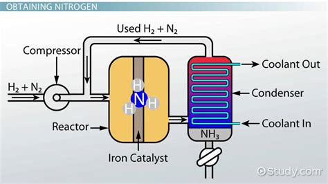 Synthesis of Ammonia: Process & Reaction - Video & Lesson Transcript ...