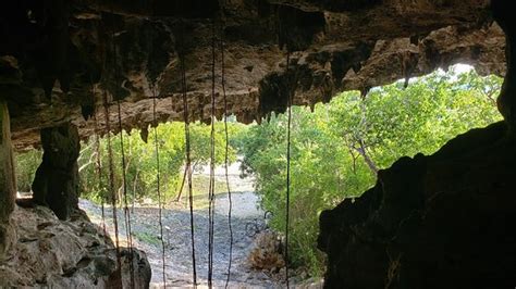 Cayman Brac Caves - 2020 All You Need to Know BEFORE You Go (with ...