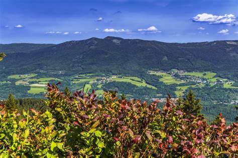 Free stock photo of away, Bavaria, bavarian forest