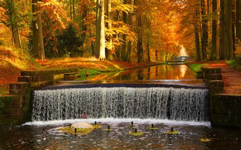 Autumn Waterfall Free Wallpaper - WallpaperSafari