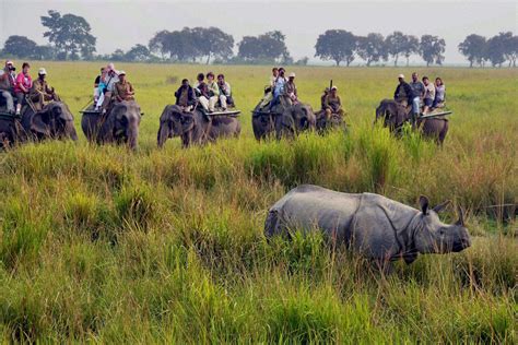 10 Best National Parks In India | Indian National Parks