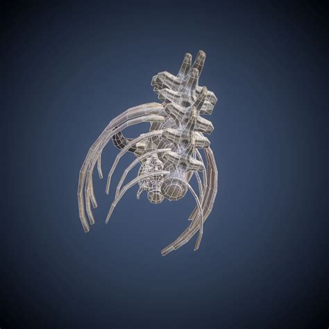 Skeleton dragon 3D Model $10 - .fbx - Free3D