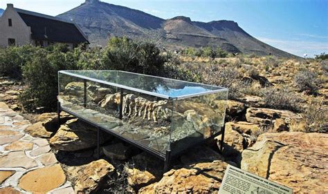 Karoo National Park: Wildlife Plus– Experiences – SA Specialist