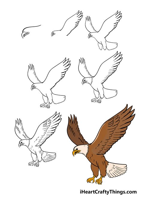 Eagle Drawing - How To Draw An Eagle Step By Step!