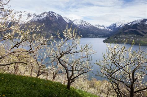 Nature, climate and the environment in the Nordic Region | Nordic ...