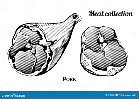 Meat Engraving Collection Pork Stock Vector - Illustration of cuisine ...