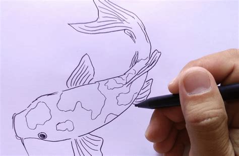 Sketsa Gambar Ikan Koi - IMAGESEE