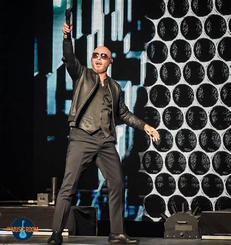 Pitbull Photo Gallery Cincinnati, OH 8/23/2022