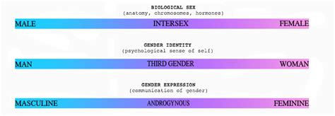 What Gender Spectrum? | True Liberal Nexus