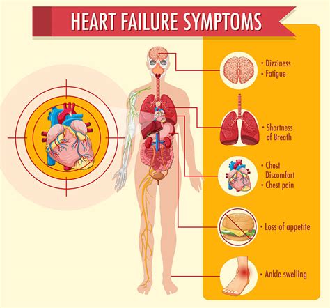 Congestive Heart Failure: Symptoms, Causes, and Types | Dr. Raghu