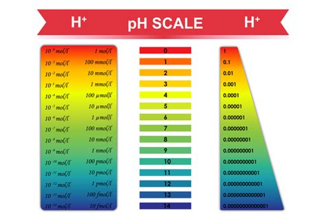 Acids, Bases, and Living Things - Lesson - HelpTeaching.com