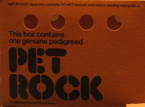 Pet Rock - Wikipedia