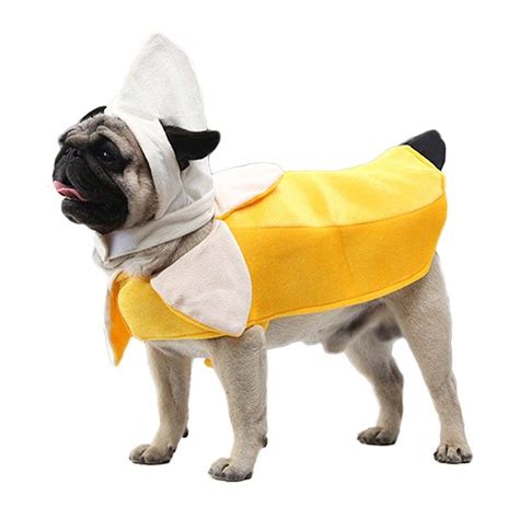 Halloween Costume For Pugs | ubicaciondepersonas.cdmx.gob.mx