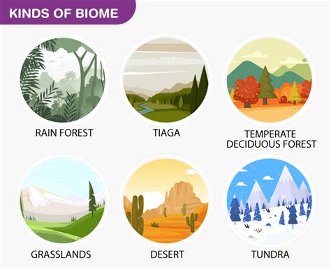 Biome Types