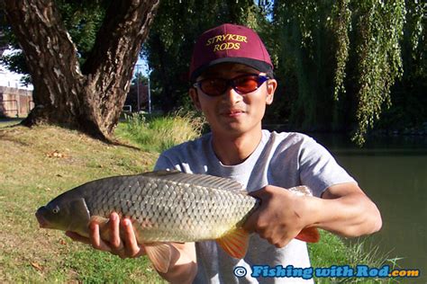 Popular carp bait recipes | Fishing with Rod