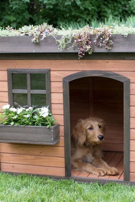 12 Best Fancy Dog Houses - Cool Luxury Dog Houses To Buy