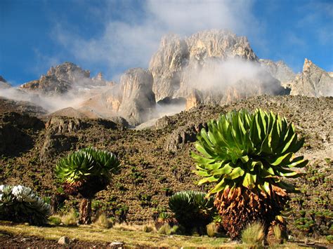 Mount Kenya National Park wildlife location in Kenya, Africa | Wildlife ...