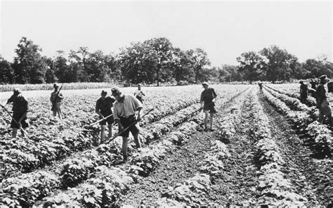 The Oil Boom's Roots in East Texas Cotton Farming – Texas Monthly