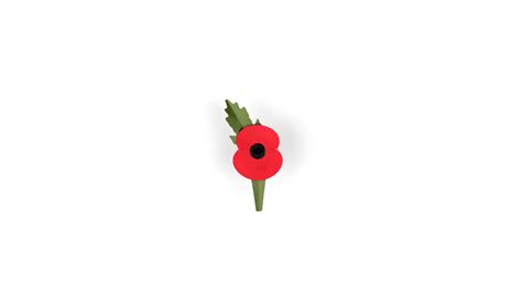 The Royal British Legion’s Poppy Appeal 2023 launches in ...