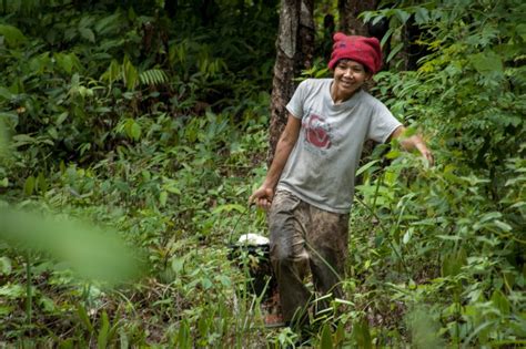 Rubber Plantation Worker – Just Walked By