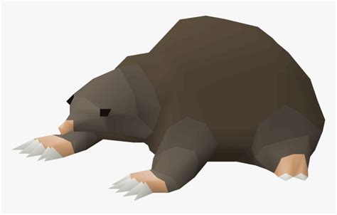 Mole Pet Osrs, HD Png Download , Transparent Png Image - PNGitem