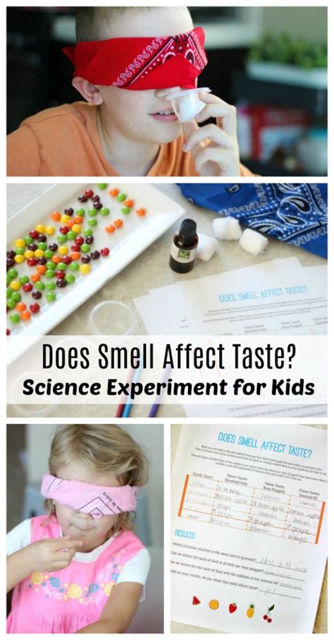 Does Smell Affect Taste? A Tasty Experiment. | Science experiments kids ...