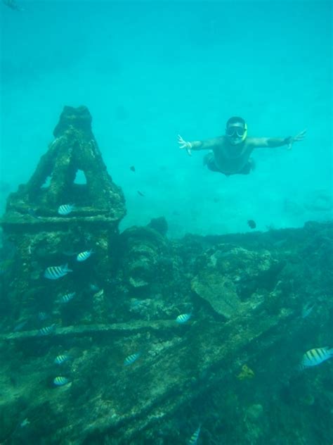 Barbados Snorkeling | Outside the Cage